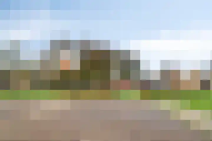 Bilderdijklaan 32 Bladel thumbnail 37
