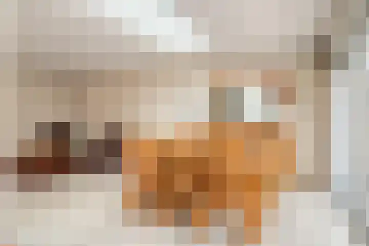 Bilderdijklaan 32 Bladel thumbnail 7