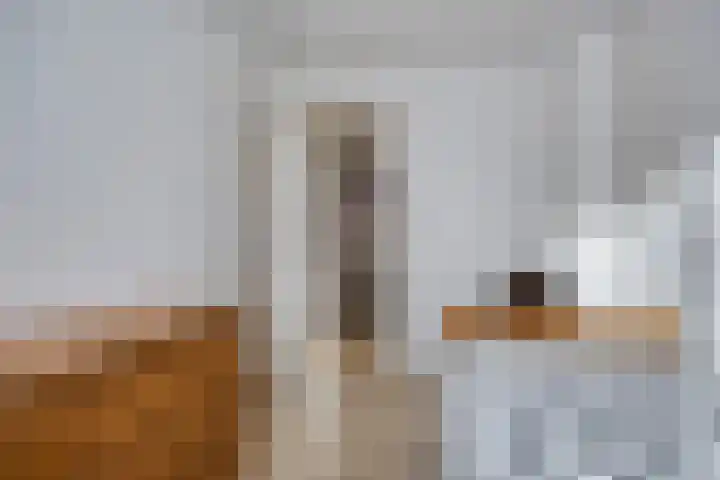 Bilderdijkstraat 1 Rosmalen thumbnail 18