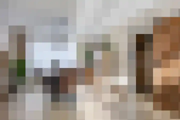 Bilderdijkstraat 1 Rosmalen thumbnail 4