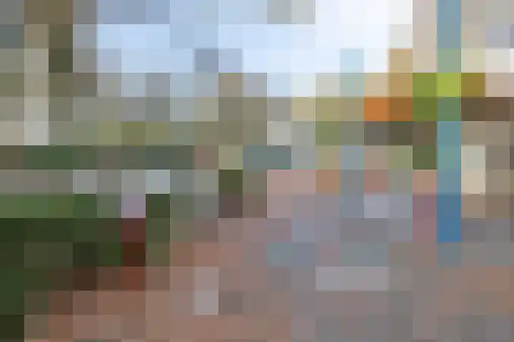 Bilderdijkstraat 1 Rosmalen thumbnail 41