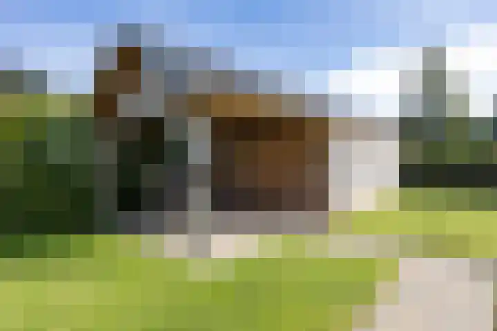 Bilderdijkstraat 2 Winschoten thumbnail 60