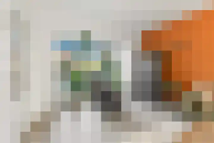 Bilderdijkstraat 32 Alblasserdam thumbnail 4