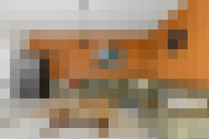 Bilderdijkstraat 32 Alblasserdam thumbnail 6