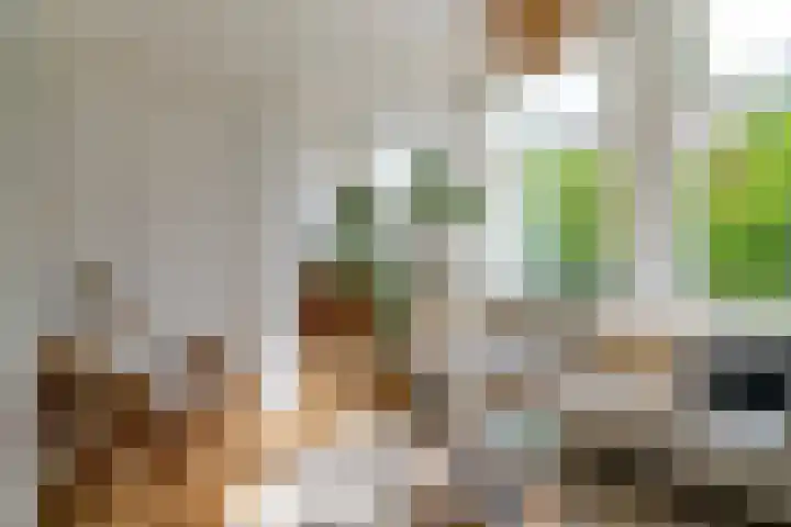 Bilderdijkstraat 33 BS Utrecht thumbnail 6