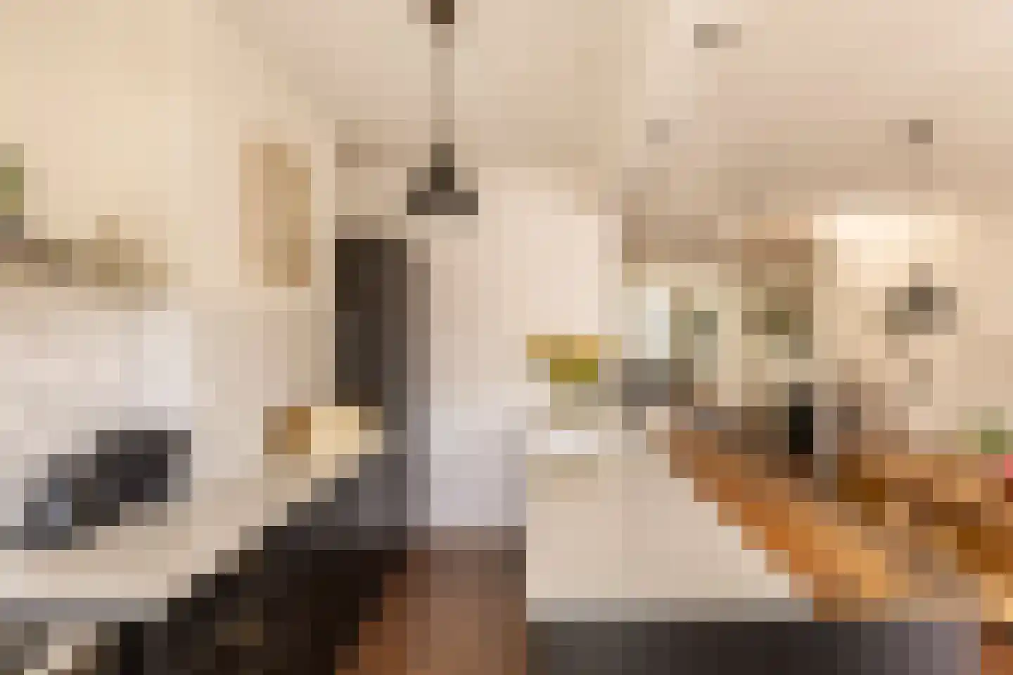 Bilderdijkstraat 72 2 Amsterdam thumbnail 6