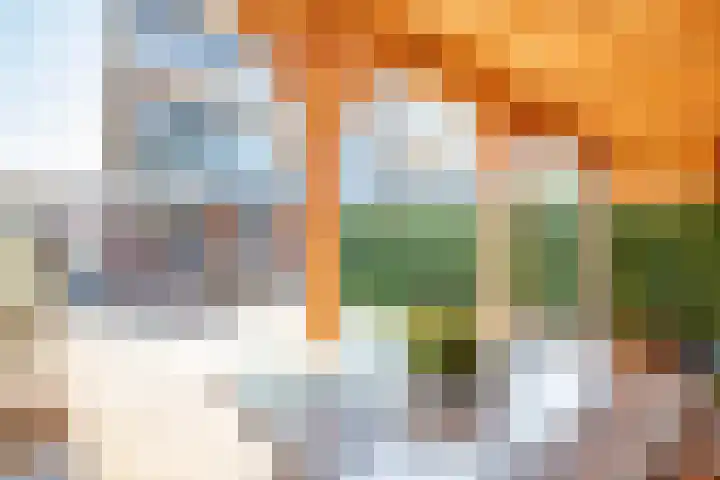 Bilderdijkstraat 77 Lekkerkerk thumbnail 34