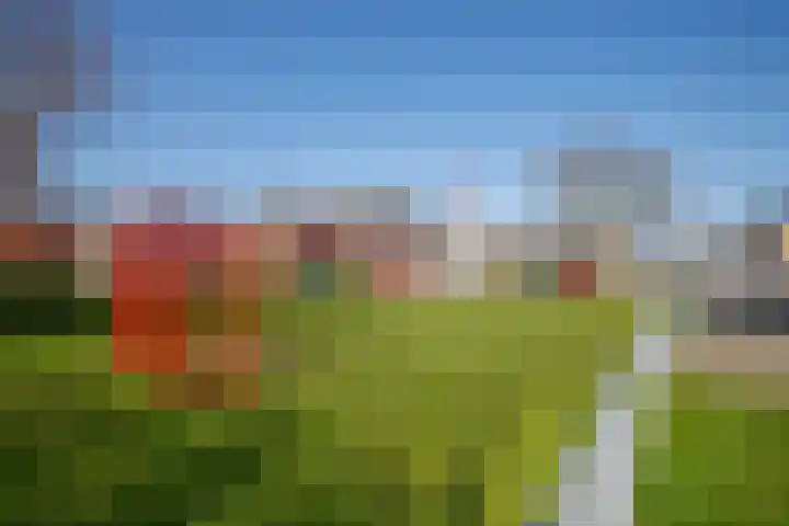 Bilderdijkstraat 77 Lekkerkerk thumbnail 38