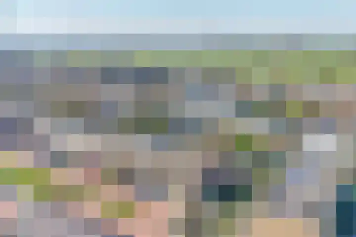 Bilderdijkstraat 77 Lekkerkerk thumbnail 41