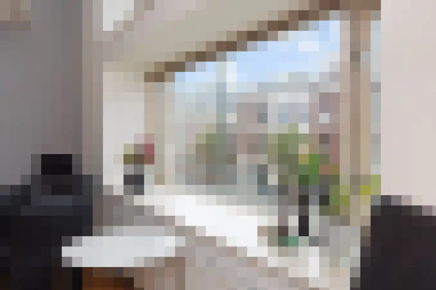Bilderdijkstraat 9 A Den Haag thumbnail 11