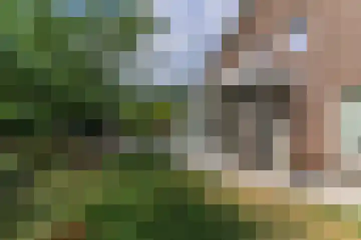 Billenstraatje 2 Heel thumbnail 36