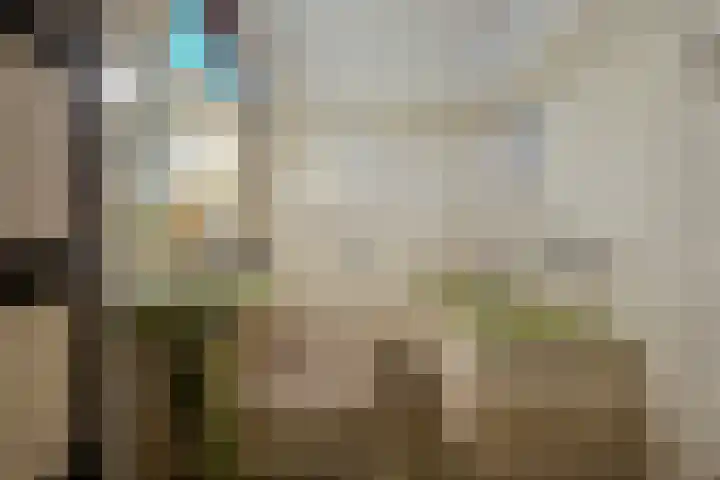 Bilt 12 Stevensweert thumbnail 14