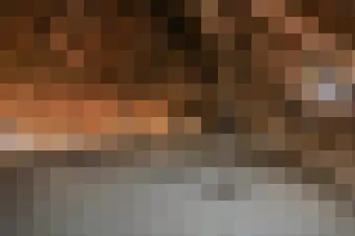 Bilt 12 Stevensweert thumbnail 24