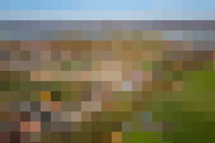 Bilt 12 Stevensweert thumbnail 30