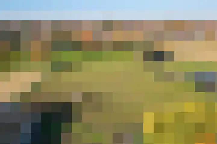 Bilt 12 Stevensweert thumbnail 34