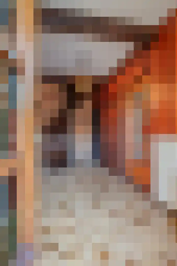 Bilt 12 Stevensweert thumbnail 4