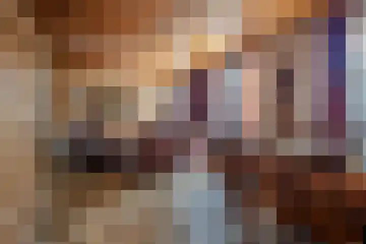 Bilt 12 Stevensweert thumbnail 6