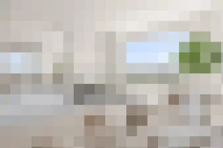 Biltstein 156 De Bilt foto 2