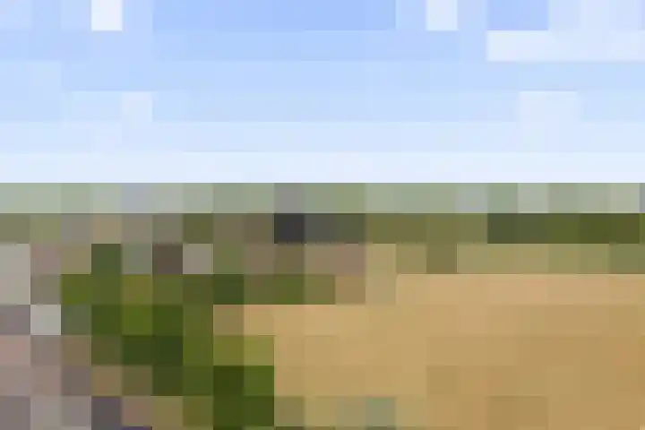 Biltstein 156 De Bilt thumbnail 33