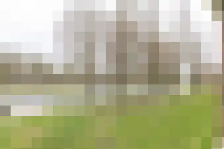 Biltstein 40 De Bilt thumbnail 19