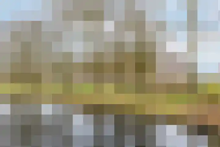 Biltstein 40 De Bilt thumbnail 32