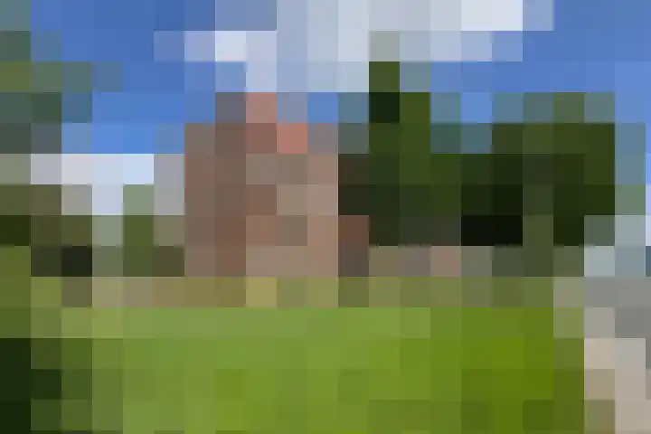 Biltstein 98 De Bilt