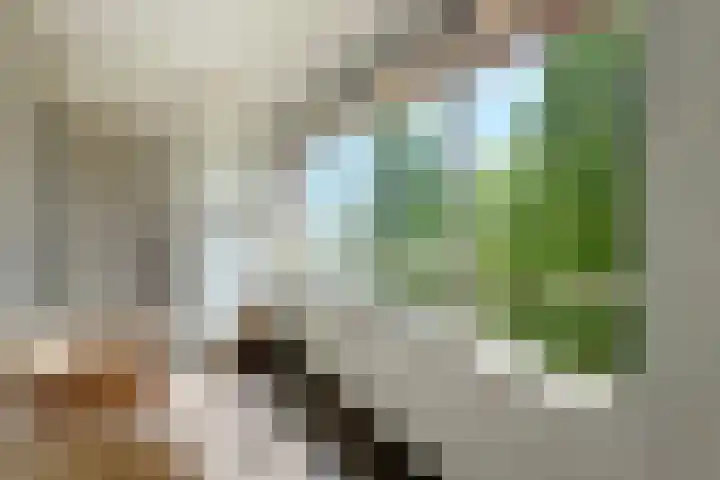 Biltstein 98 De Bilt thumbnail 17