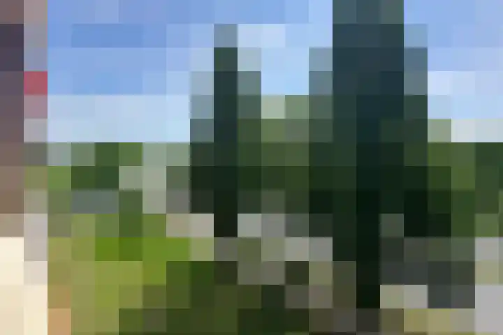 Biltstein 98 De Bilt thumbnail 18