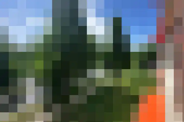 Biltstein 98 De Bilt thumbnail 19