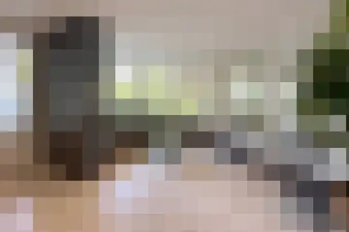 Biltstein 98 De Bilt thumbnail 5