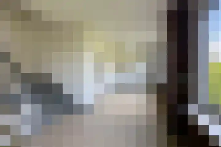 Biltstein 98 De Bilt thumbnail 7