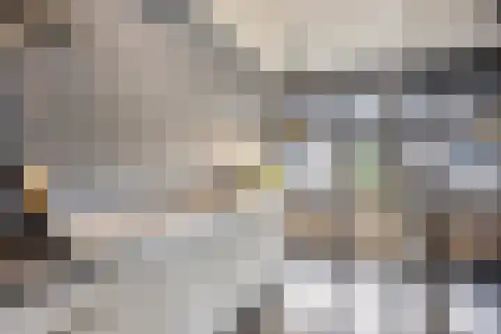 Bilzekruid 9 Berghem thumbnail 10