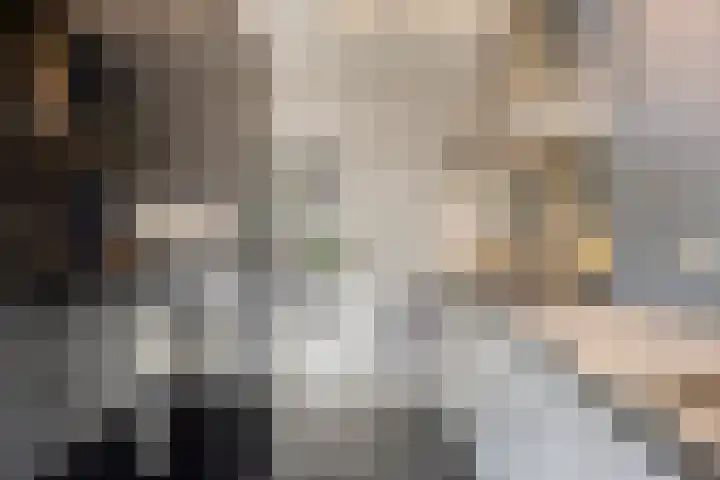Bilzekruid 9 Berghem thumbnail 11