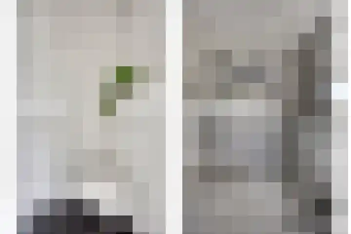 Bilzekruid 9 Berghem thumbnail 15