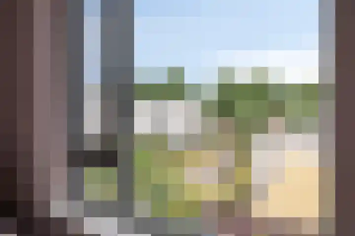 Bilzekruid 9 Berghem thumbnail 17