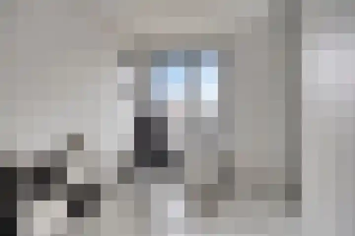 Bilzekruid 9 Berghem thumbnail 18