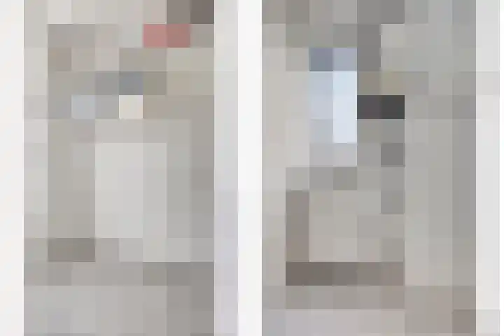 Bilzekruid 9 Berghem thumbnail 20