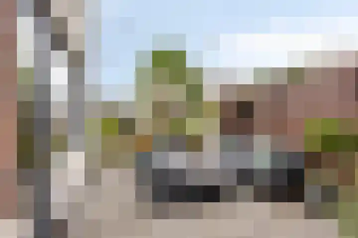Bilzekruid 9 Berghem thumbnail 21
