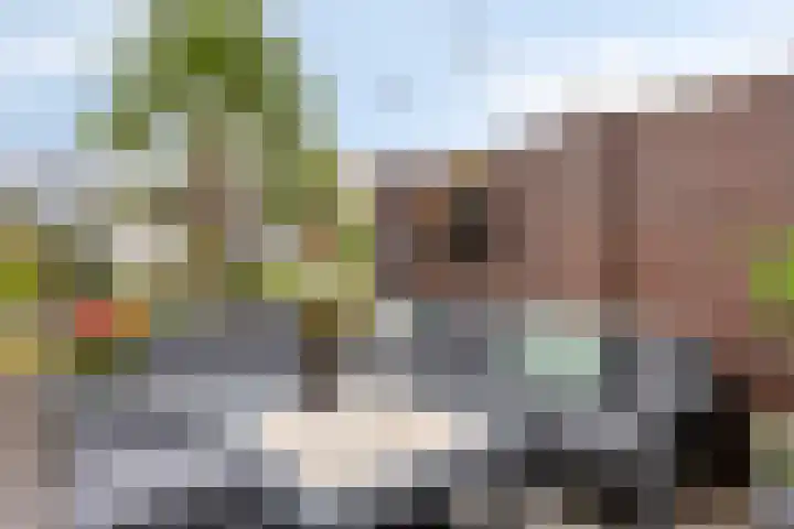 Bilzekruid 9 Berghem thumbnail 23