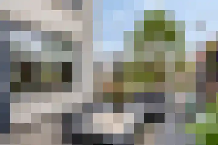 Bilzekruid 9 Berghem thumbnail 24