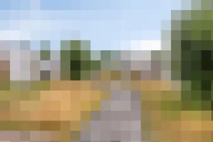 Bilzekruid 9 Berghem thumbnail 28