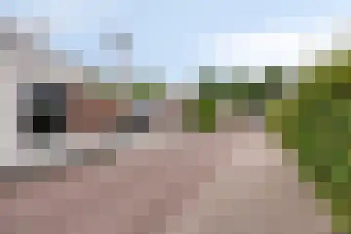 Bilzekruid 9 Berghem thumbnail 30
