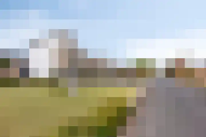 Bilzekruid 9 Berghem thumbnail 32