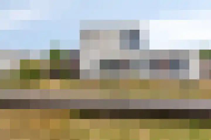 Bilzekruid 9 Berghem thumbnail 37