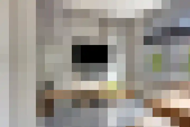 Bilzekruid 9 Berghem thumbnail 4