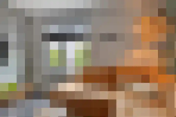 Bilzekruid 9 Berghem thumbnail 5