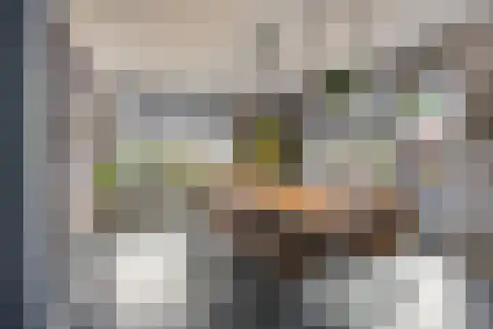 Bilzekruid 9 Berghem thumbnail 6