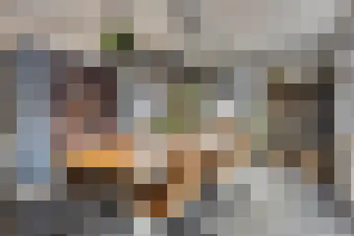Bilzekruid 9 Berghem thumbnail 7