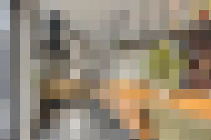 Bilzekruid 9 Berghem thumbnail 8