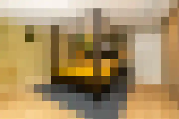 Binderseind 11 Gemert thumbnail 10